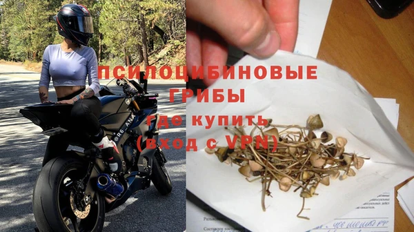 герыч Ладушкин