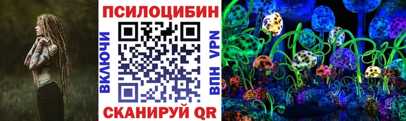 Псилоцибиновые грибы мицелий mega ССЫЛКА Полярный